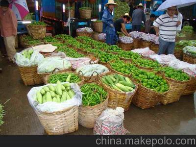 厦门集美蔬菜配送,集美蔬菜批发,集美工厂饭堂承包,食品配料批发图片,厦门集美蔬菜配送,集美蔬菜批发,集美工厂饭堂承包,食品配料批发图片大全,厦门鹭宏康果蔬-