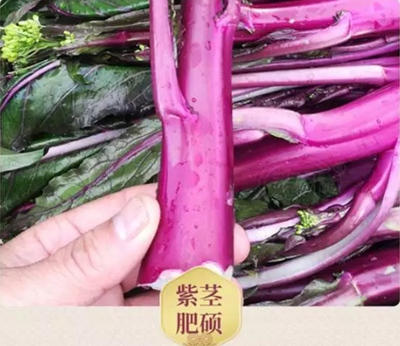厦门新鲜蔬菜水果肉类粮油调料海鲜配送