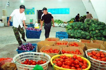 厦门市同安区西柯镇蔬菜配送价格