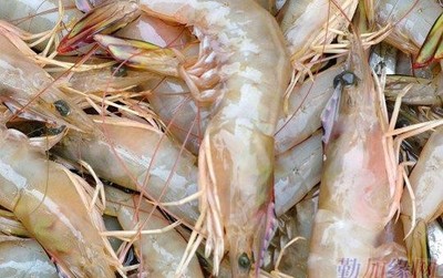 厦门专业团膳服务企业企事业单位食堂承包管理、蔬菜农副产品配送