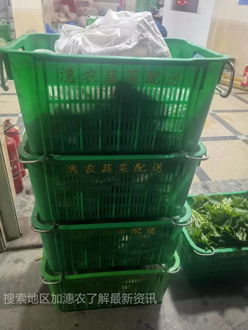 厦门市海沧区蔬菜配送公司完善仓储保鲜配送体系