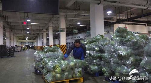 家家悦集团加大物流生鲜配送投入 力保民生商品供应充足