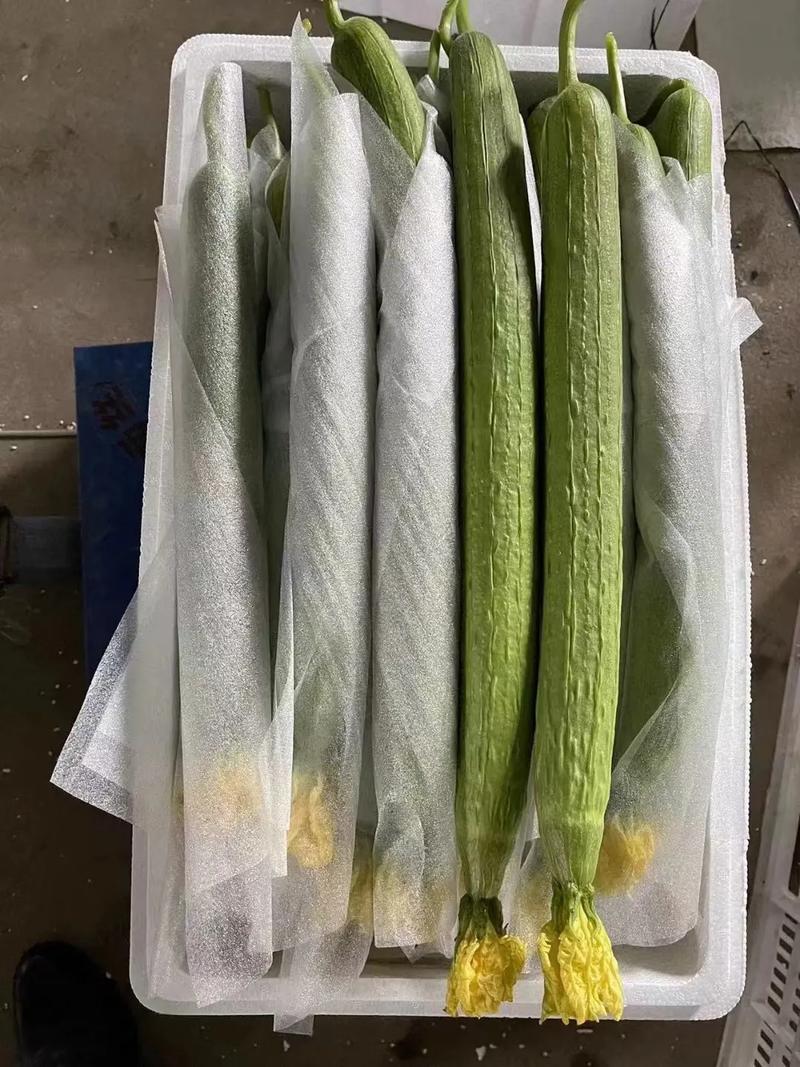 厦门蔬菜批发配送,厦门生鲜配送,厦门食材配送,厦门新鲜蔬菜基