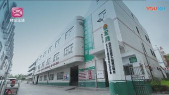 宏鸿演绎 互联网+农产品下的厦门蔬菜配送新范式