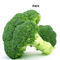 厦门与思明区蔬菜配送服务详解