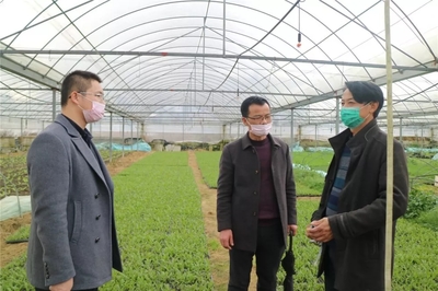 永泰防疫春耕两手抓！厦门蔬菜配送保供稳产