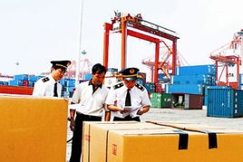 厦门检区进口食品与农产品不合格率持续偏高 本地蔬菜配送保障面临挑战