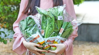 9.9元6大包!有机鲜蔬免费送上门,全厦门竞相抢购